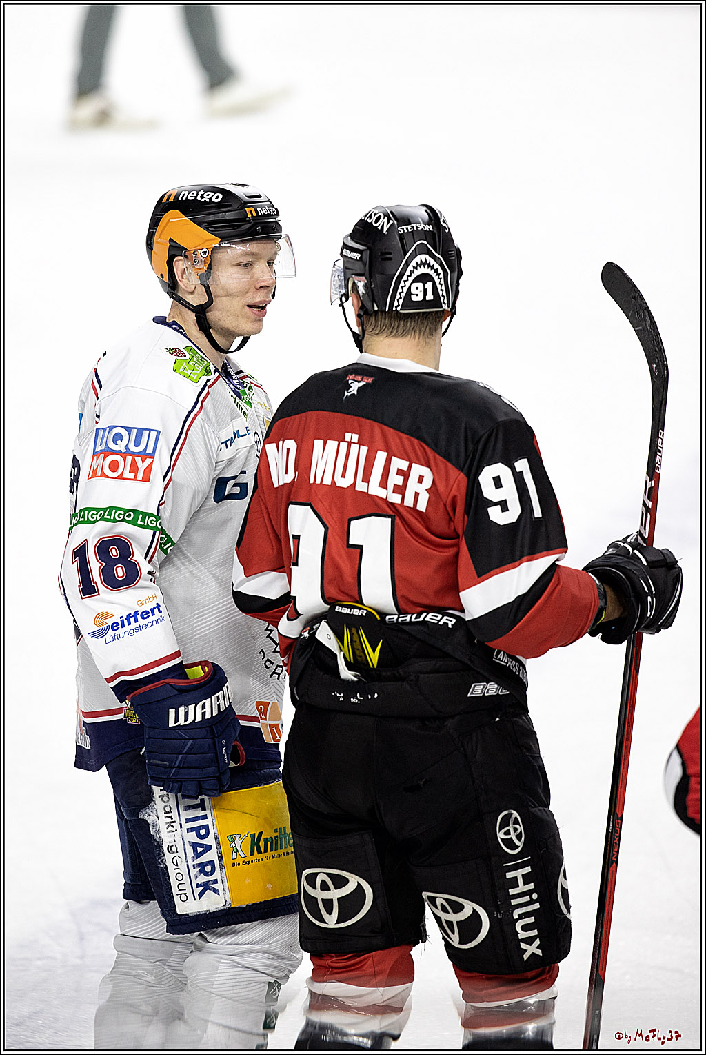 PENNY DEL;  Koelner Haie - Eisbaeren Berlin; Koeln, 28.12.2021